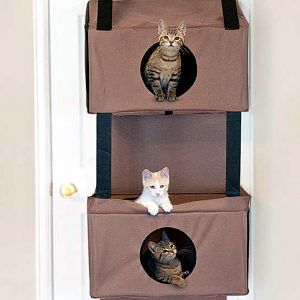 Cat Trees: 12 Designs That Will Make You Go "wow!"