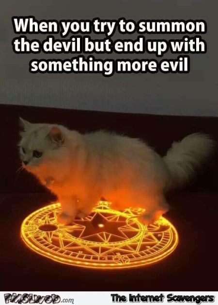 16-when-you-summon-the-devil-cat-meme.jpg