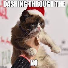 GALLERY: The best 'Grumpy Cat' memes of all time – NBC4 WCMH-TV