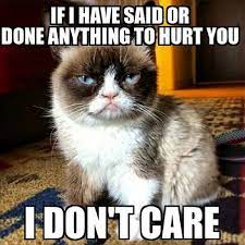 16 of the Best Grumpy Cat Memes - Catster