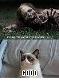 Grumpy Cat Meme by Grumpy-Cat-Fan on DeviantArt