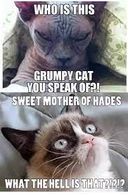 What are the funniest grumpy cat memes? - Quora