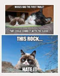 Pin by Catlady Killmouskie on Grumpy Cat Rocks | Grumpy cat meme, Grumpy  cat, Cat memes