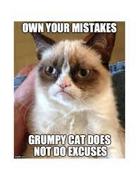 Meme 3 grumpy cat
