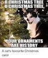Image result for christmas cat meme