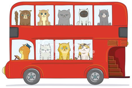 22532770-cats-in-the-bus.jpg