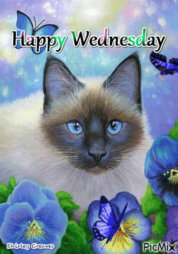 399142-Blue-Eyed-Cat-Happy-Wednesday-Gif.gif