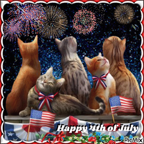 419533-Cats-Watching-Fireworks-Happy-4th-Of-July-Gif.gif