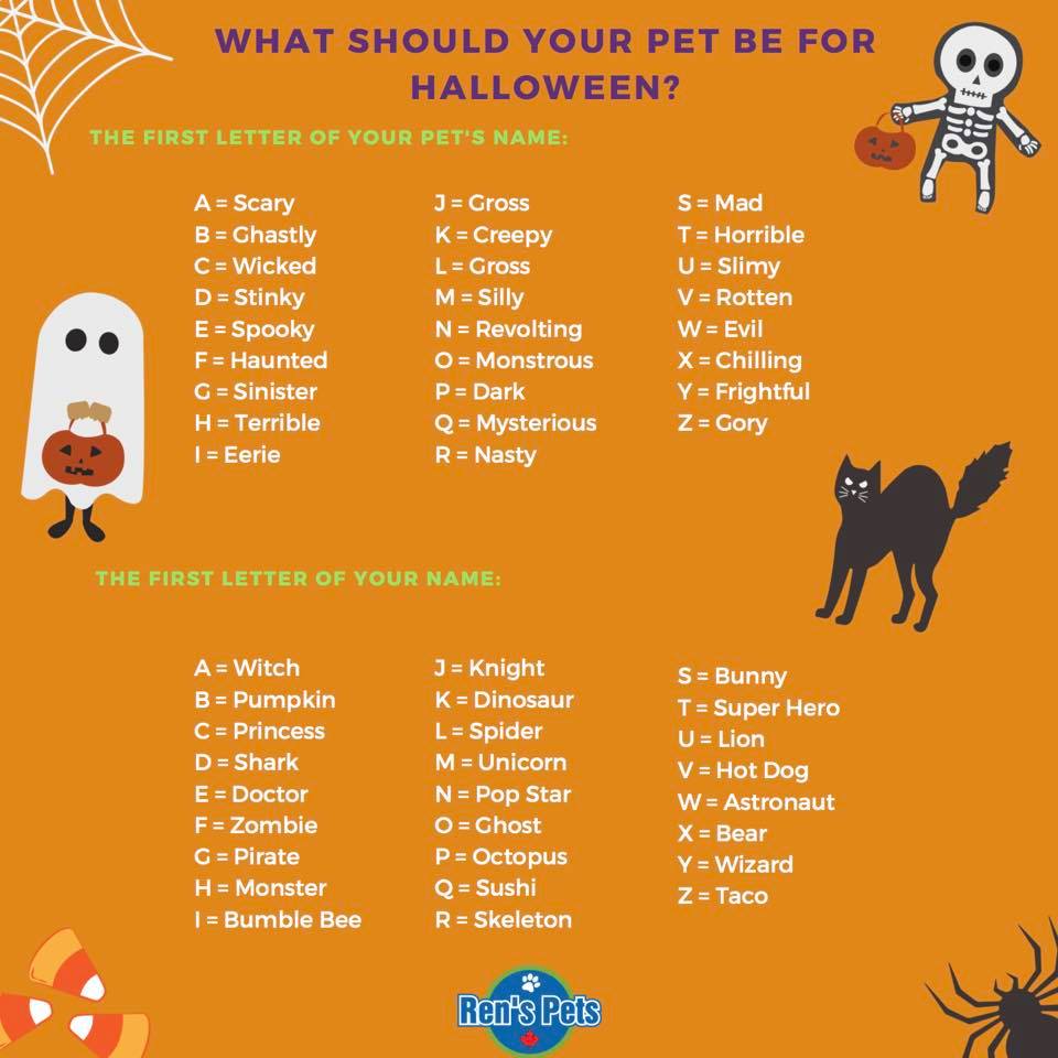 What Should Your Pet Be For Halloween Thecatsite