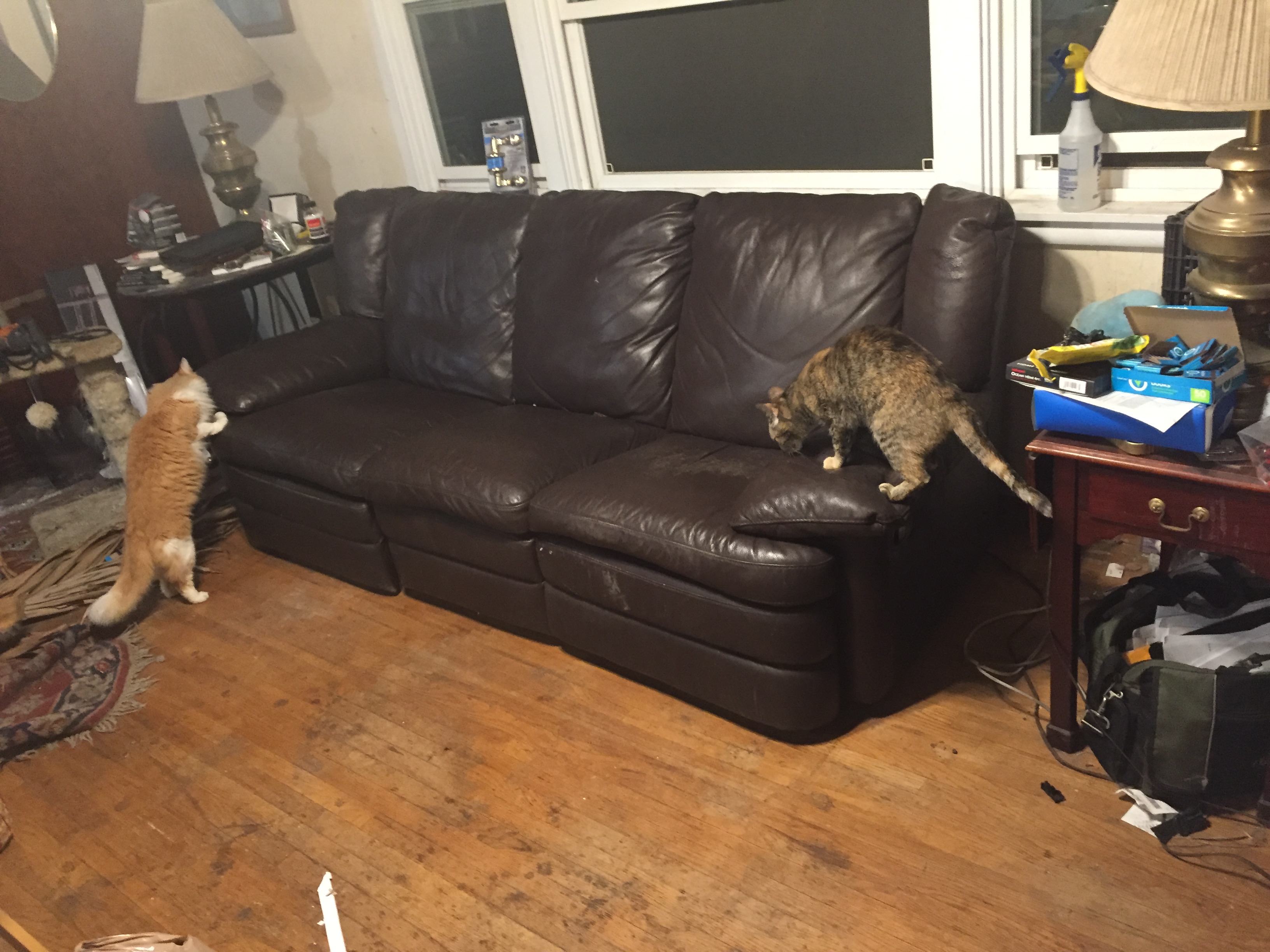 Cat Proof Furniture? TheCatSite