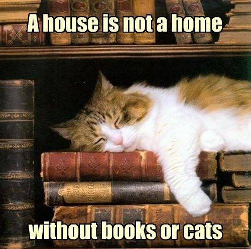 a-house-is-not-a-home-without-books-or-cats-quote-1.jpg