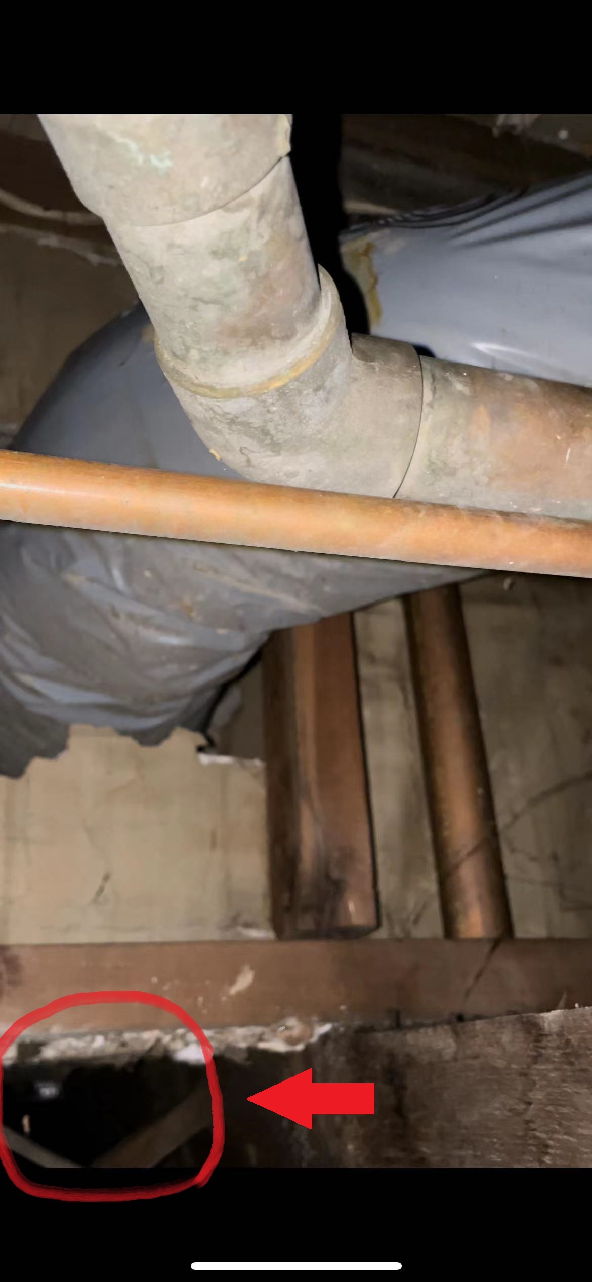 air ducts and cat hiding under bathtub.jpg