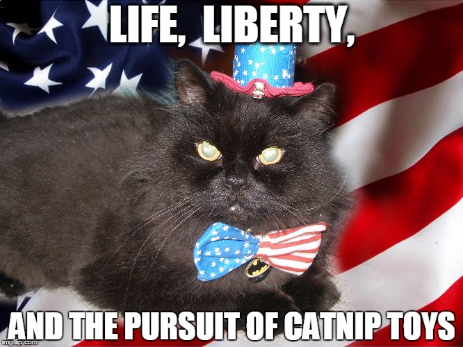 AmeriCats-favorite-day-4th-of-July-Cat-Meme.jpg