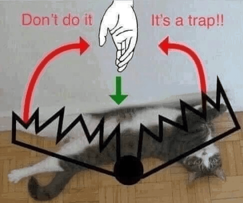 animal-dont-do-s-trap.png