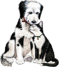 animated-dogs-and-cats-image-0008.gif