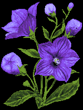 animated-flower-image-0149.gif