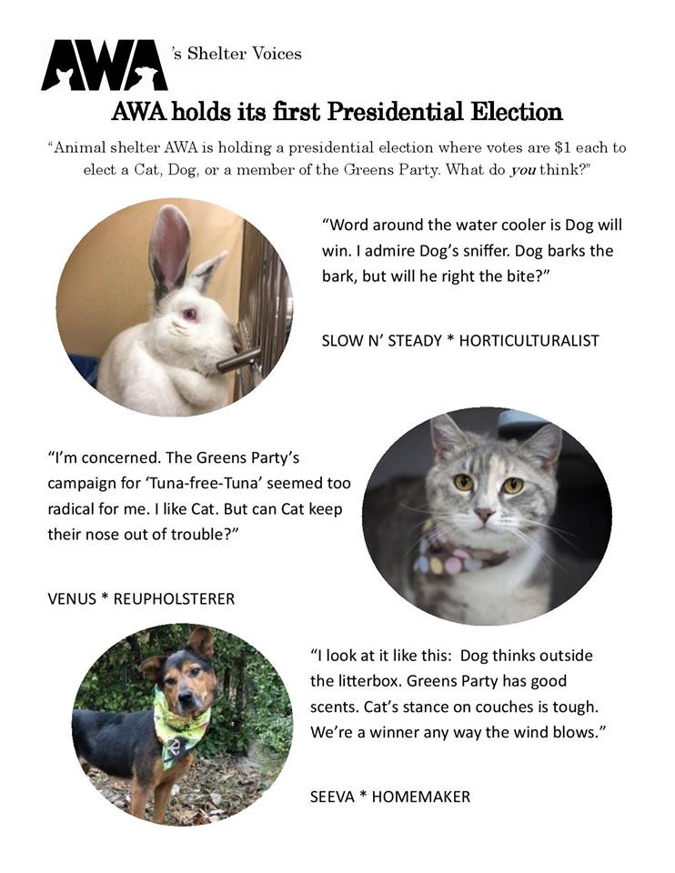 AWA Election news.jpg