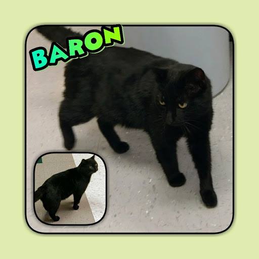 Baron 1.jpg