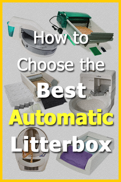 How To Choose The Best Automatic Litterbox For You And Your Cat