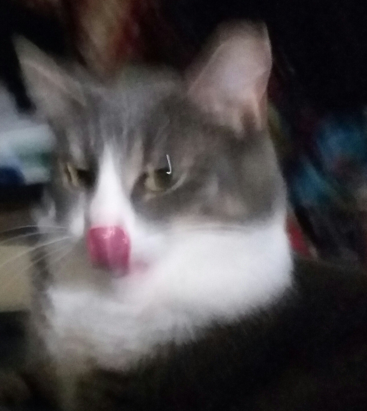 blurry tongue.jpg