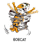 bobcat00.jpg