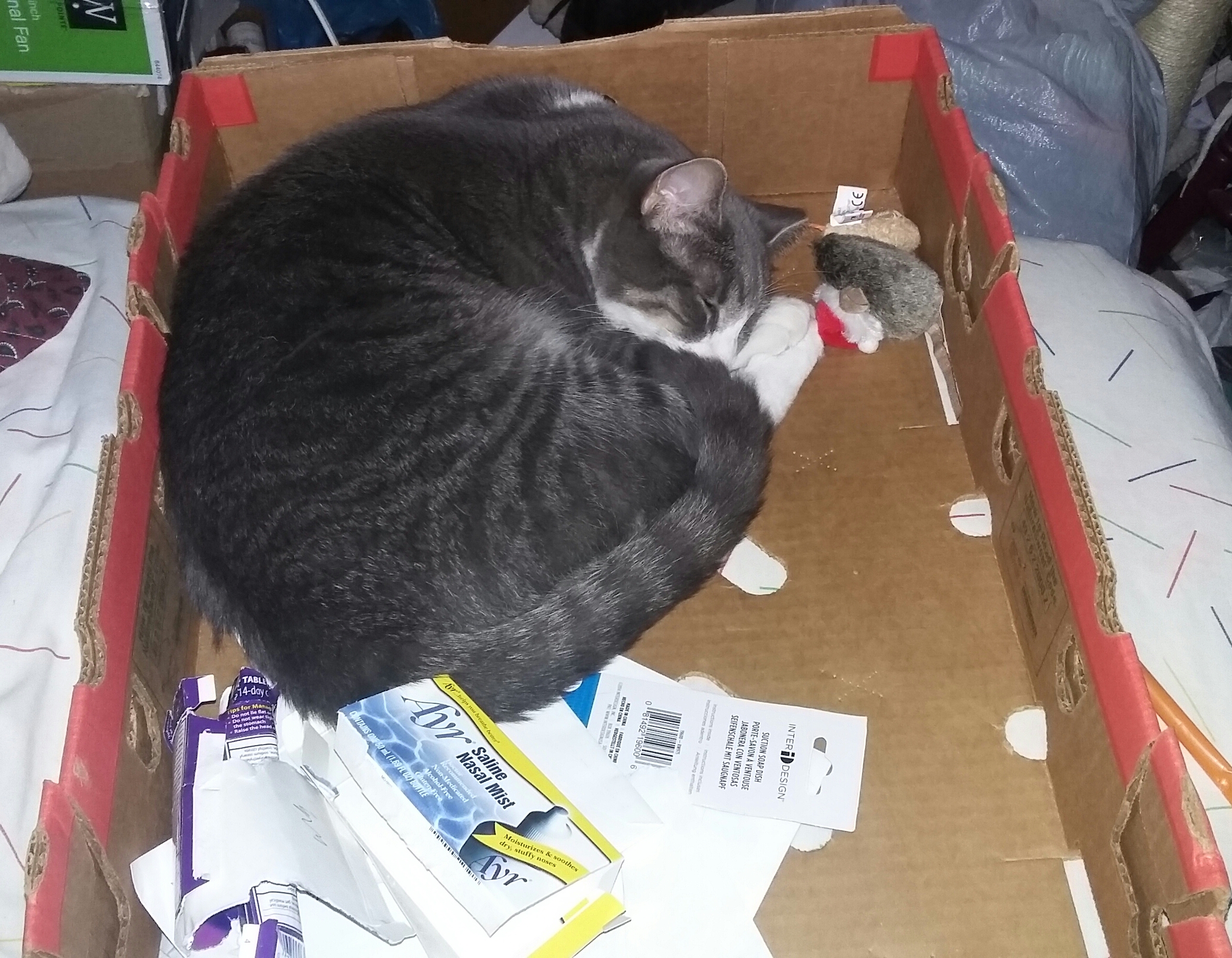 Box and mouse.jpg