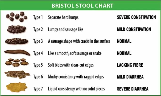 bristol-stool-chart 2.jpg