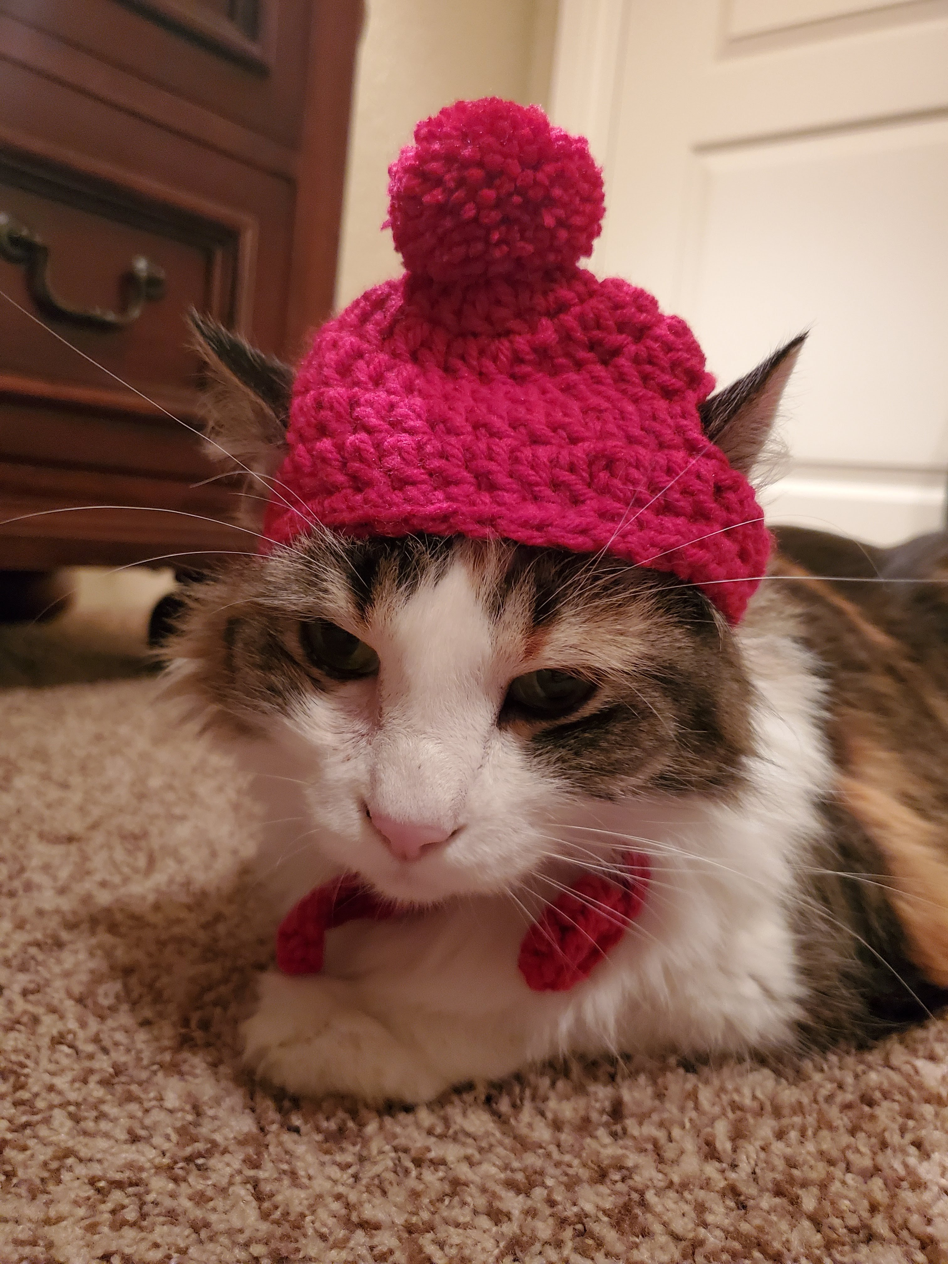 Callie Moo Hat.jpg