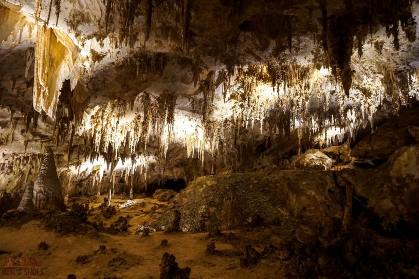 Carlsbad-Caverns-2019-Kings-Palace-Tour-5-e1563655391410.jpg