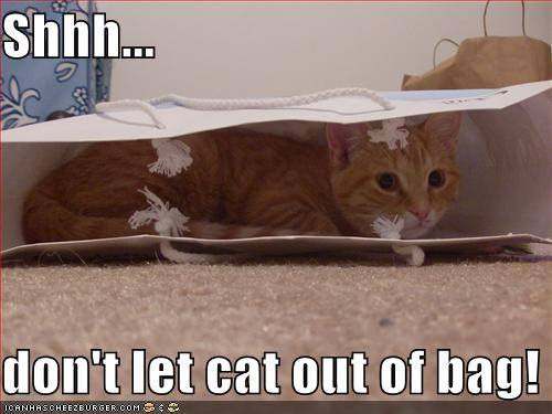 Cat Bag.jpg