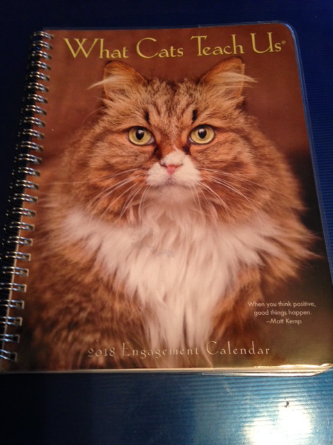 cat calendar 2018.jpg