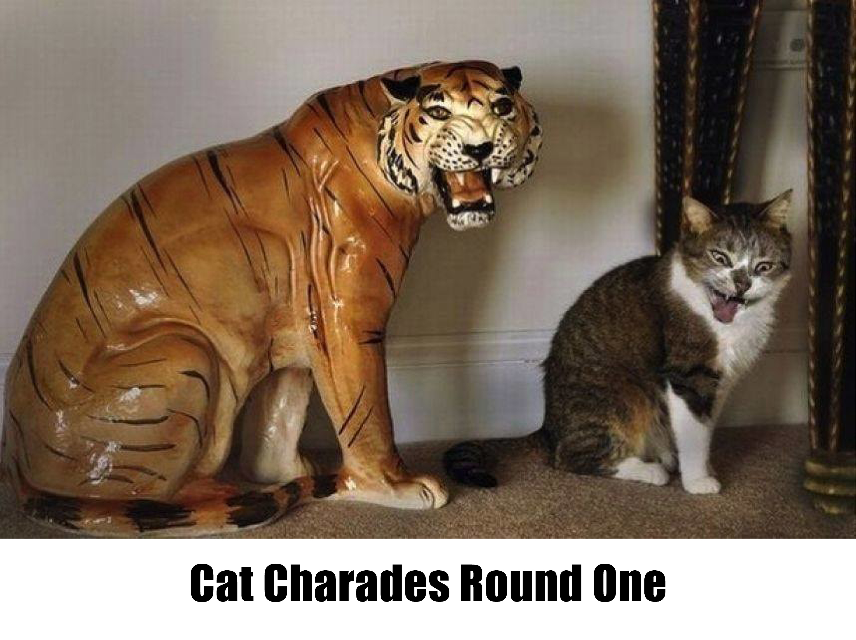 cat charades round one.jpg