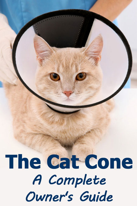 The Cat Cone: A Complete Owner's Guide