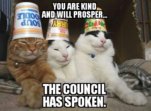 cat council.jpg