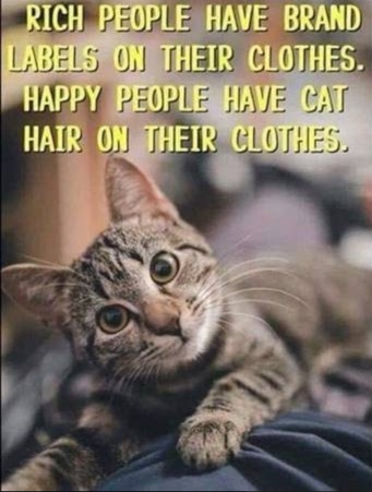 Cat Hair.jpg