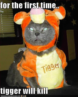 Cat Halloween funny pictures (96).jpg