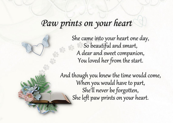 cat-loss-poems-sympathy-quotes-for-losing-a-pet FEMALE.jpg