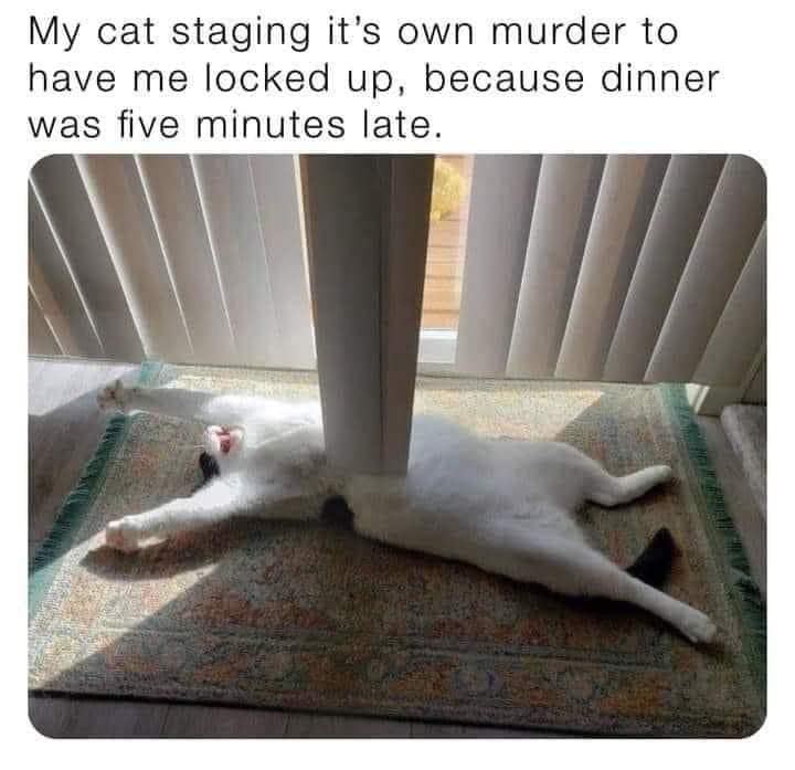 cat murder.jpg
