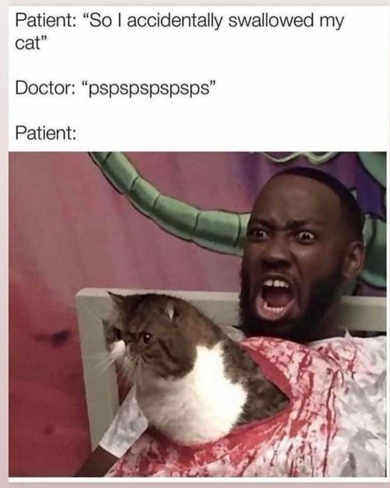 cat-patient-so-accidentally-swallowed-my-cat-doctor-pspspspspsps-patient.jpeg