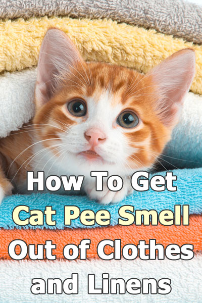 How To Get Cat Pee Smell Out of Clothes and Linens