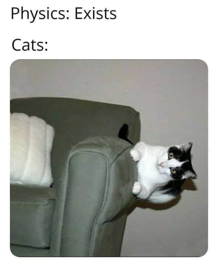 cat-physics-exists-cats.jpeg