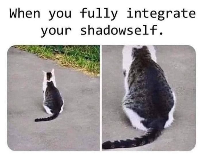 cat shadow.jpg