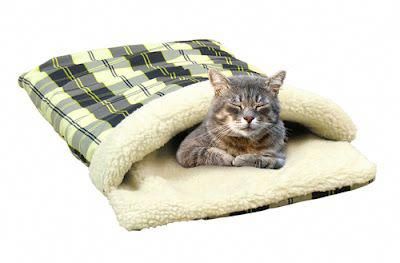 Cat sleeping bag 1.jpg