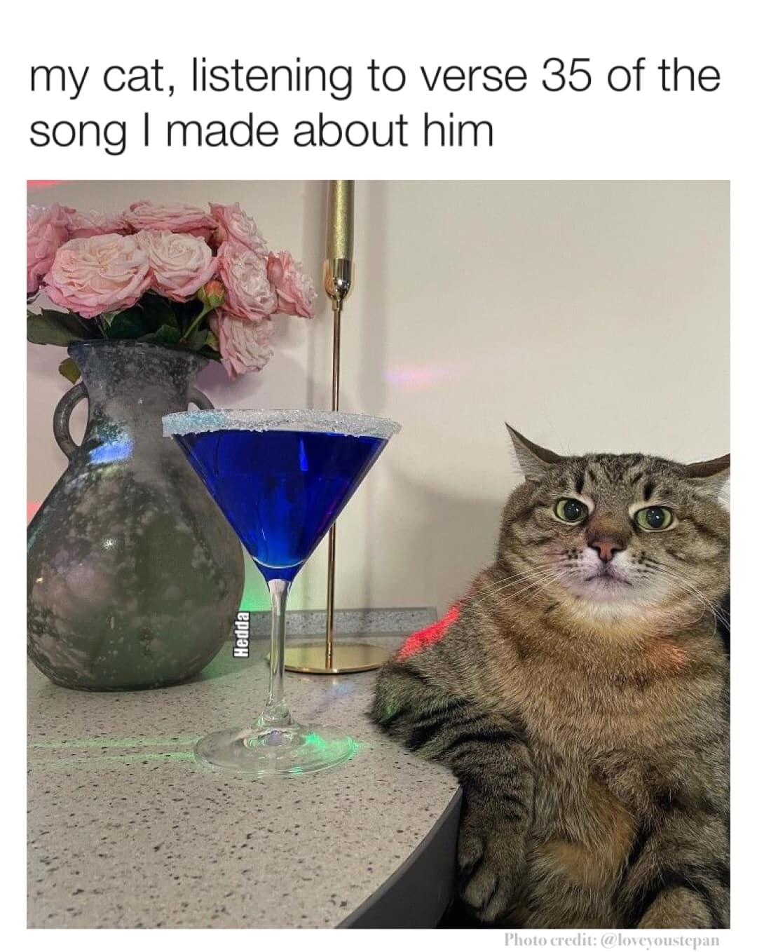cat song.jpg