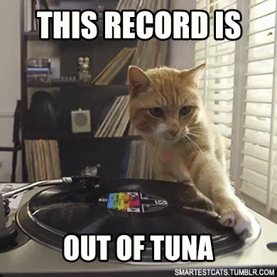 cat-tuna.gif