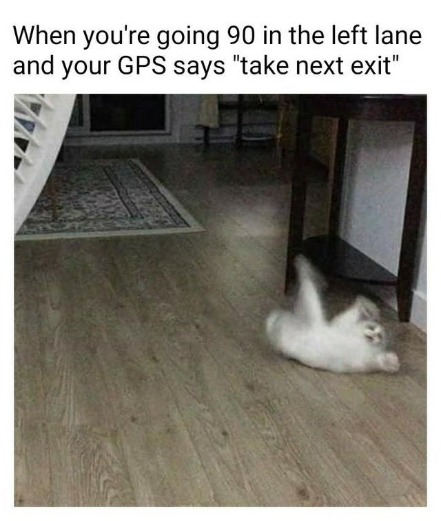 cat-when-youre-going-90-in-the-left-lane-and-your-gps-says-take-next-exit.jpg