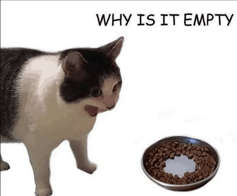 cat-why-is-empty.png