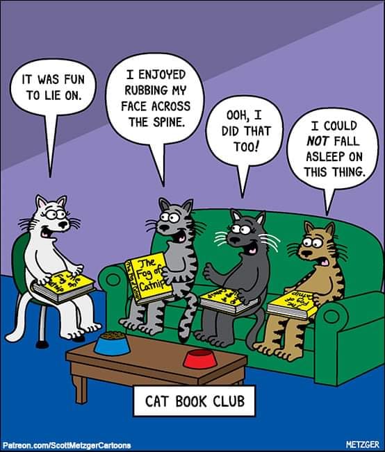catbookclub.jpg