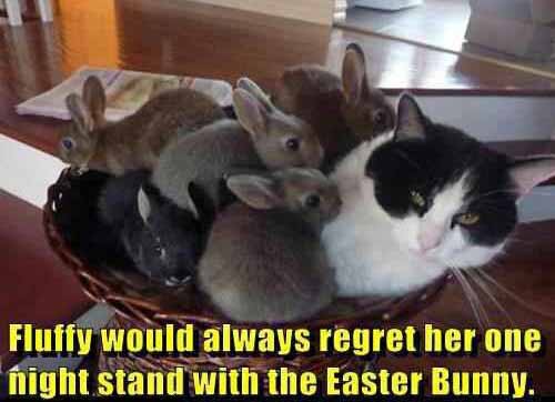 cats-one-night-stand-with-easter-bunny.jpg