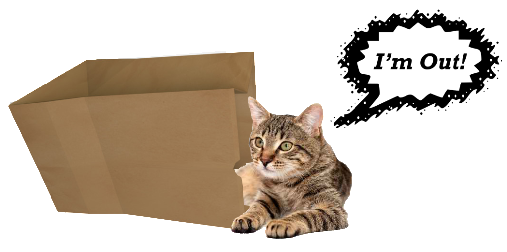 Cats-out-of-the-bag-1024x510.png